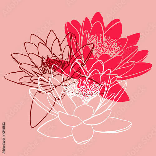 Fototapeta Naklejka Na Ścianę i Meble -  Floral background with water lily