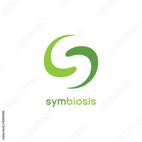 S letter logotype photo