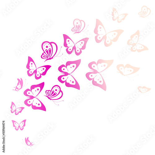 butterflies design