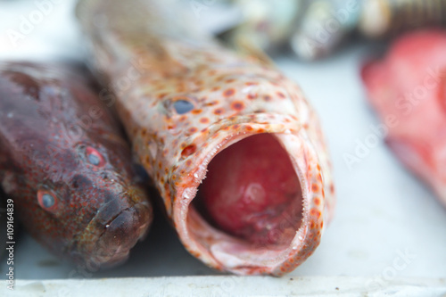 Fish on the market