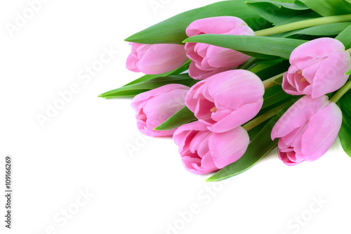 Fototapeta Naklejka Na Ścianę i Meble -  Pink fresh tulips flowers isolated on white 