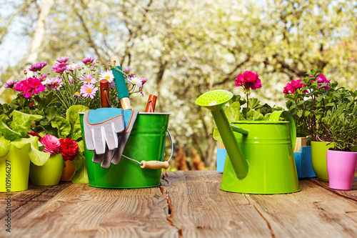 Outdoor gardening tools on old wooden table