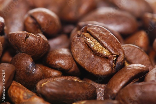 Close up of freshly roasted coffee beans