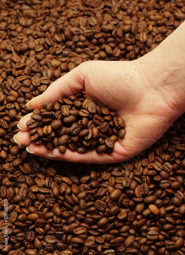 Woman hand and freshly roasted coffee beans