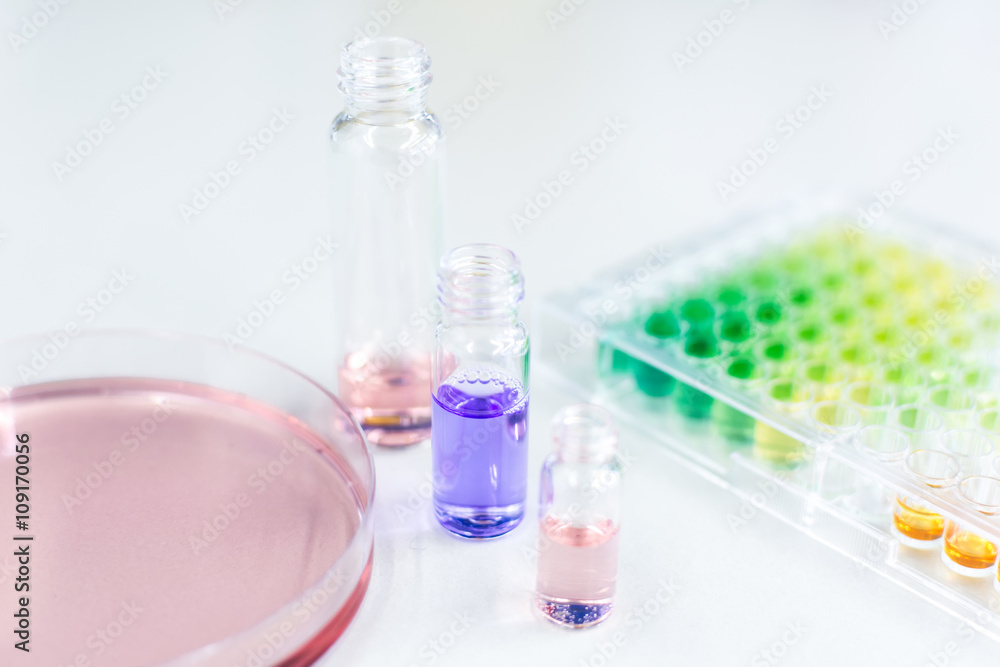 Microtiter Plate and Petri Dish with Liquid Microtiter Plate and Petri Dish with Liquid