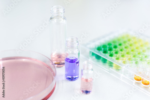 Microtiter Plate and Petri Dish with Liquid