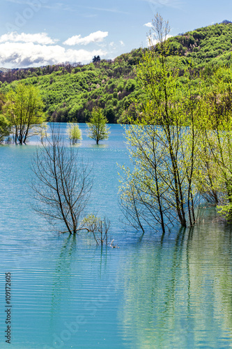 landscape with lake detail and trees inside water