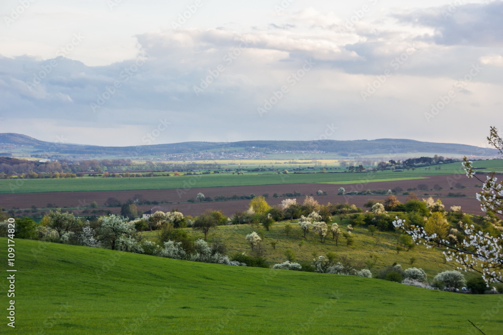 Obraz premium Springtime in Czech republic