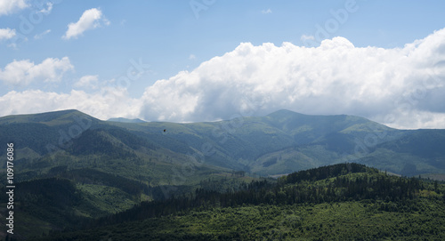 Landscape with the flying white stork in the Ukrainian Carpathia