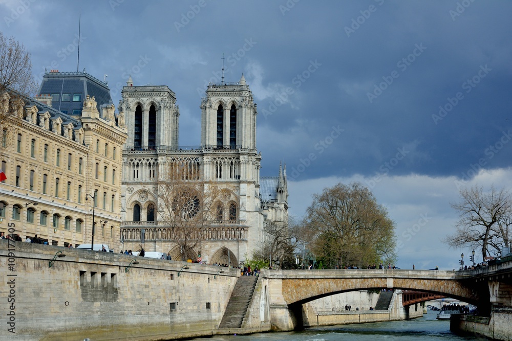 La cathédrale Notre-dame de Paris sur l'île de la cité