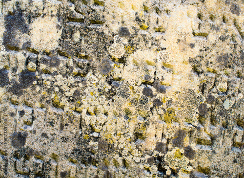 Inscription on the old Jewish gravestone photo