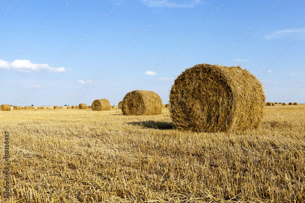 Stack of straw  
