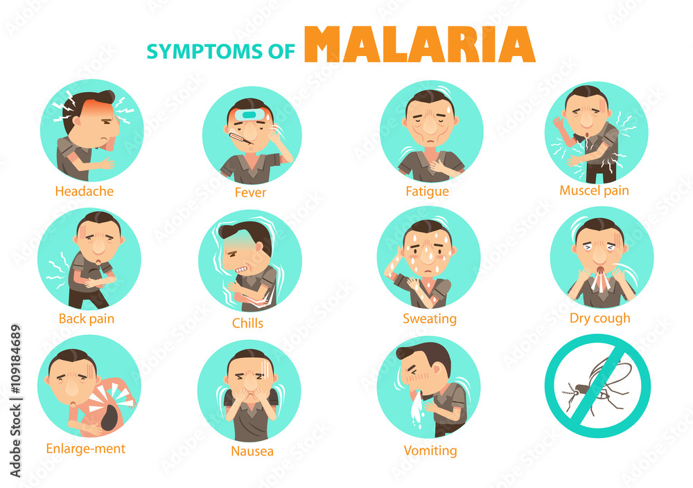 symptoms malaria/Man malaria symptoms Info Graphics in the circle.Vector illustrations symptoms malaria/Man malaria symptoms Info Graphics in the circle.Vector illustrations
