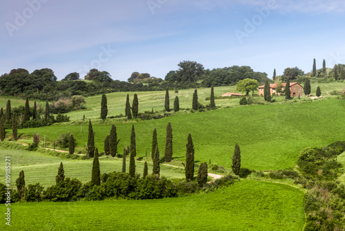 Scenery Val d'Orcia Tuscany