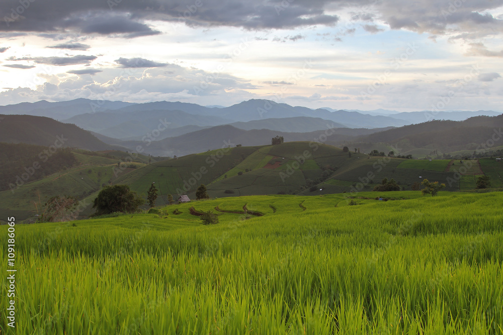 Beautiful landscape with colorful, light and shadow during sunset of the rice terraces(paddy field) and mountains at Mae-Jam Village , Chaingmai Province in Thailand Beautiful landscape with colorful, light and shadow during sunset of the rice terraces(paddy field) and mountains at Mae-Jam Village , Chaingmai Province in Thailand