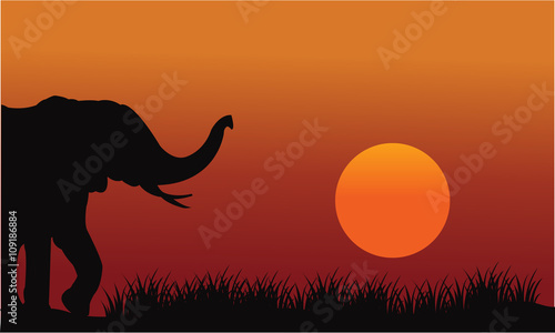 Fototapeta Naklejka Na Ścianę i Meble -  Beautiful elephant in hill scenery