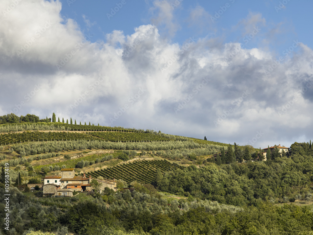 far view of a vineyard in tuscany