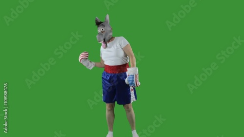 Woman wearing Democrat donkey mask wearing boxing shorts and gloves punch self in head and face aganist green screen. photo