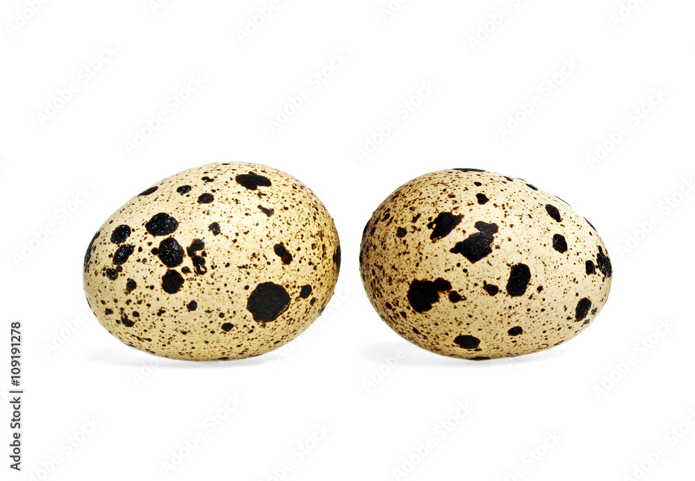 Quail eggs on white background Quail eggs on white background
