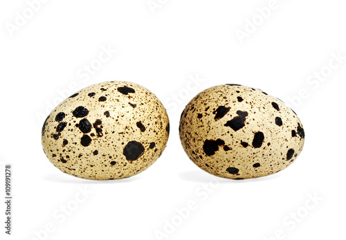 Quail eggs on white background