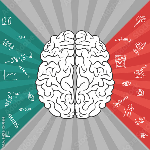 Left and right parts of brain 