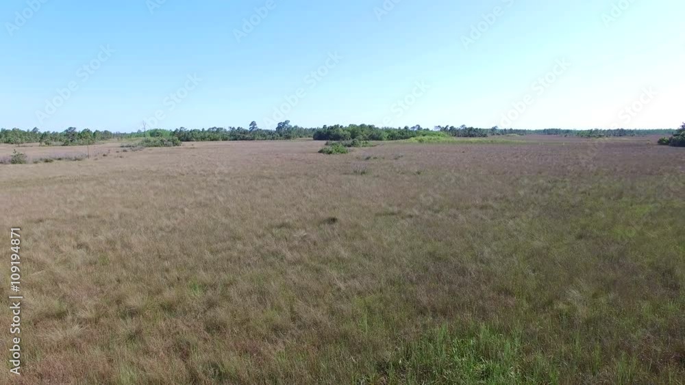 Big Cypress National Preserve in south Florida Big Cypress National Preserve in south Florida