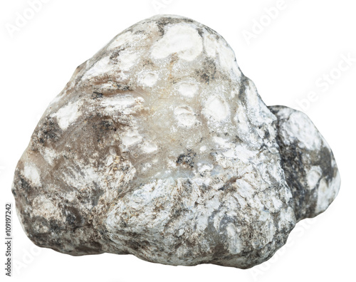 rock of raw cacholong (milky white opal) gemstone photo