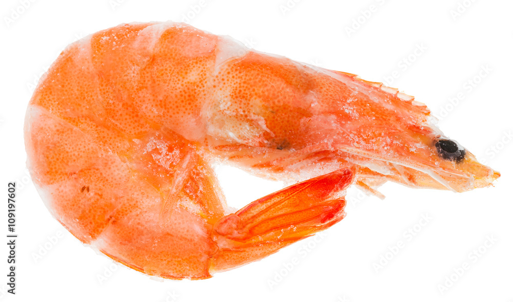 frozen boiled shrimp isolated on white frozen boiled shrimp isolated on white