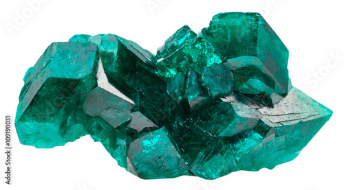 druse of emerald-green crystals of dioptase photo