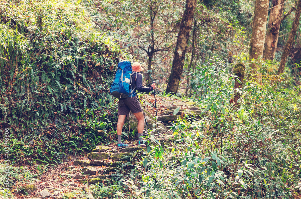 Hike in Himalayas Hike in Himalayas