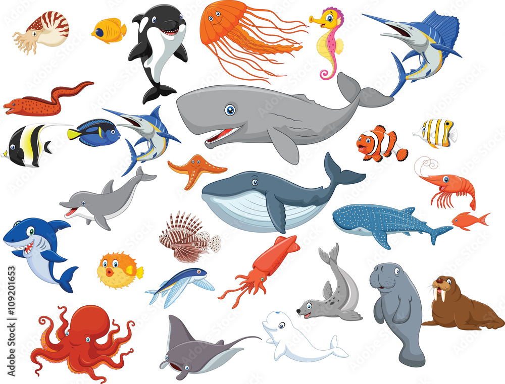 Obraz premium Cartoon sea animals isolated on white background 