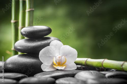 zen basalt stones  orchid and bamboo