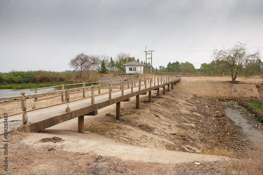 Obraz premium The bridge on the river, spring.