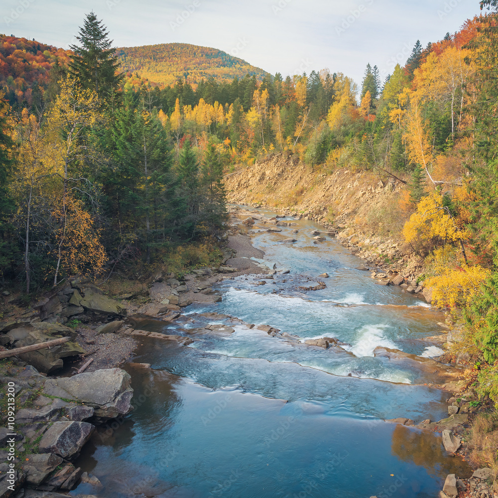 beautiful fast mountain river in autumn forest beautiful fast mountain river in autumn forest