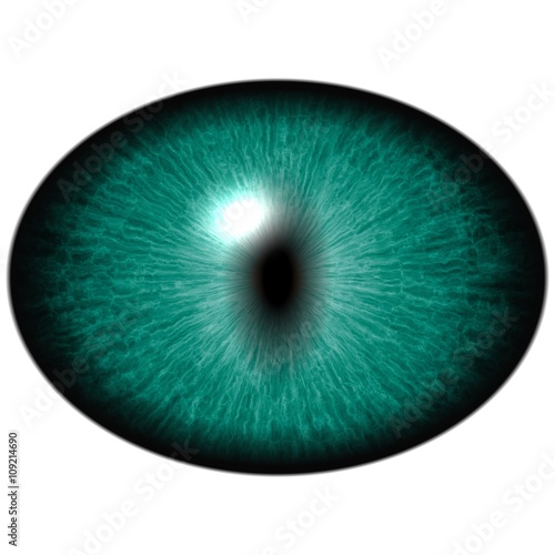 Green eye with large pupil and bright retina. Dark green iris around pupil.