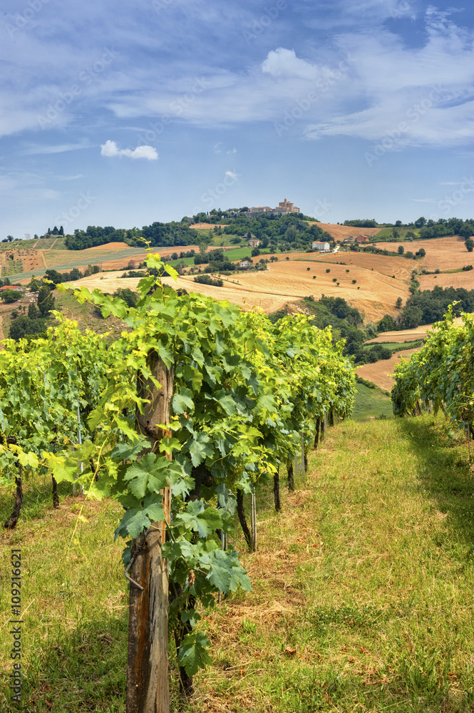 Country landscape in Marches (Italy) Country landscape in Marches (Italy)