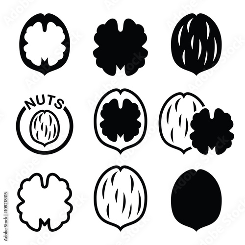 Walnut, nutshell vector icons set  photo