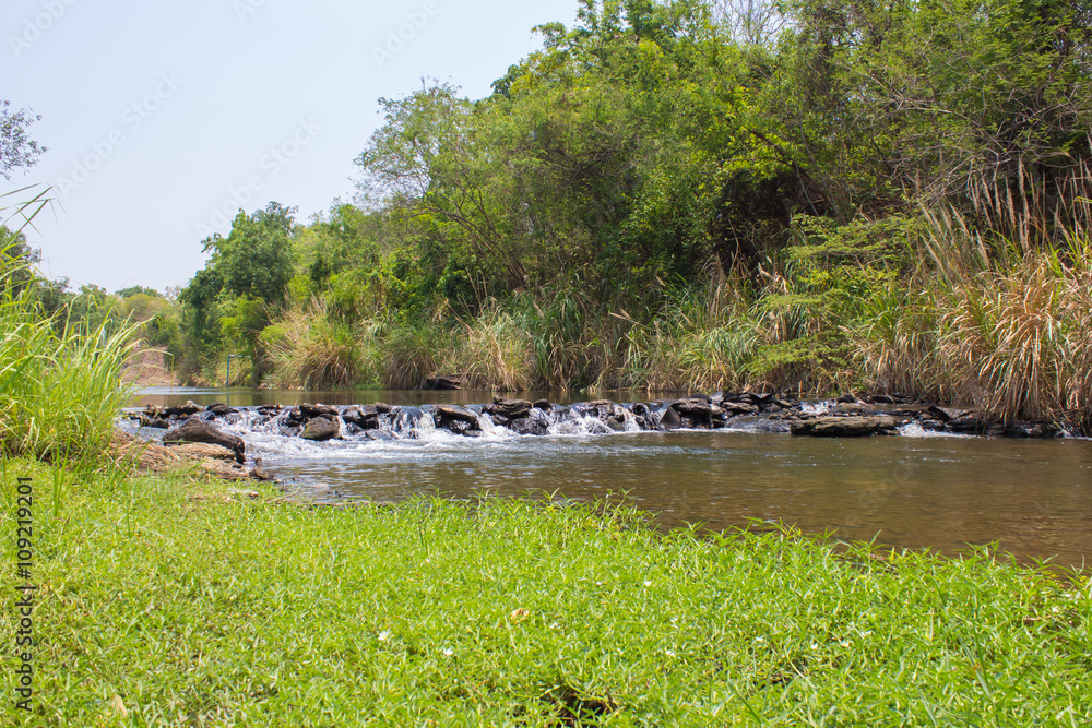 Mysterious rainforest river