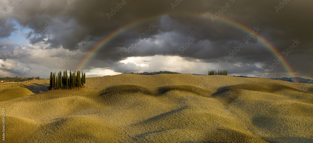 Fototapeta premium Tęcza nad polem cyprysów,Włochy,Toskania