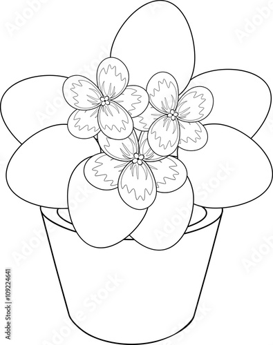 coloring page with african violet flower in pot