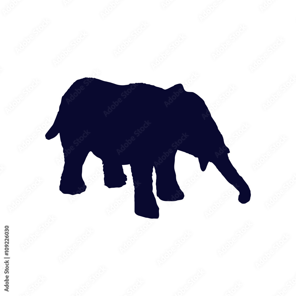 Fototapeta premium elephant silhouette 