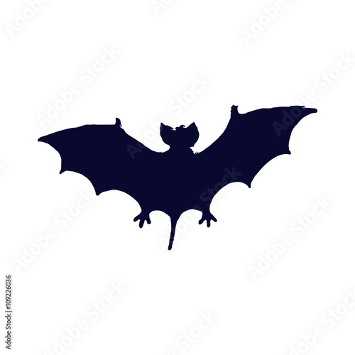 bat silhouette 