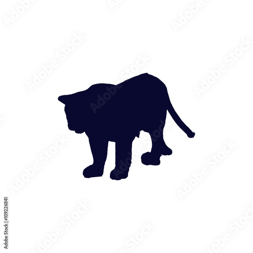 tiger silhouette
