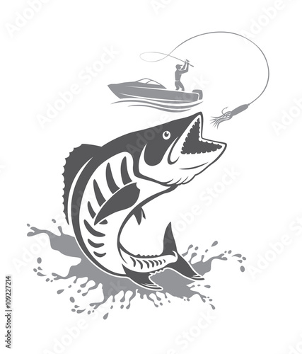  mackerel