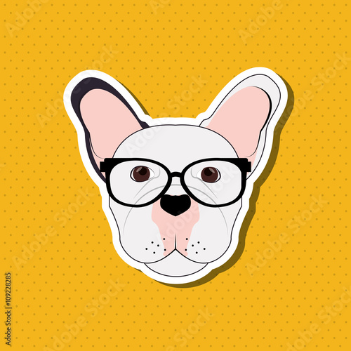 french bulldog design  pet and animal concept 