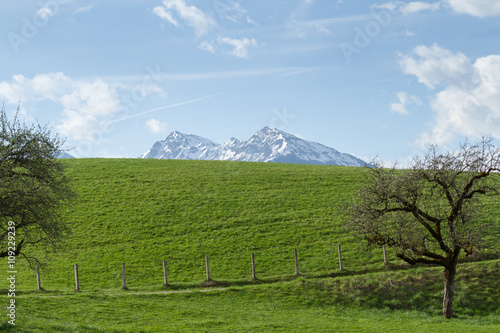 Green pastures and snow covered mountains in Tirol © ARC Photography