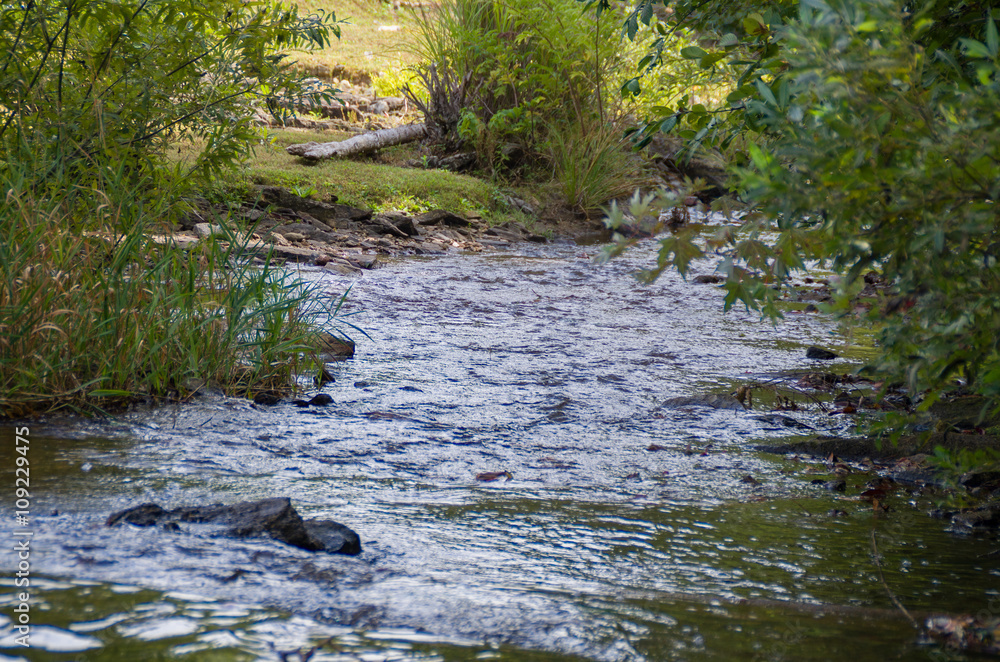 Fluss im Wald Fluss im Wald
