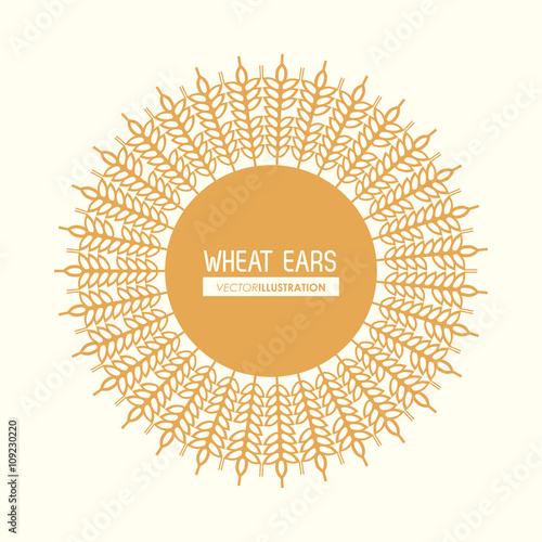 Wheat ears design, farm and agriculture concept, ve