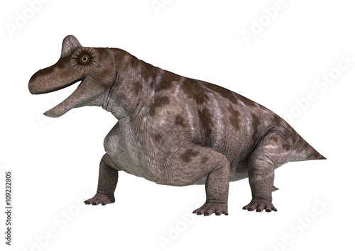 3D Rendering Dinosaur Keratocephalus on White