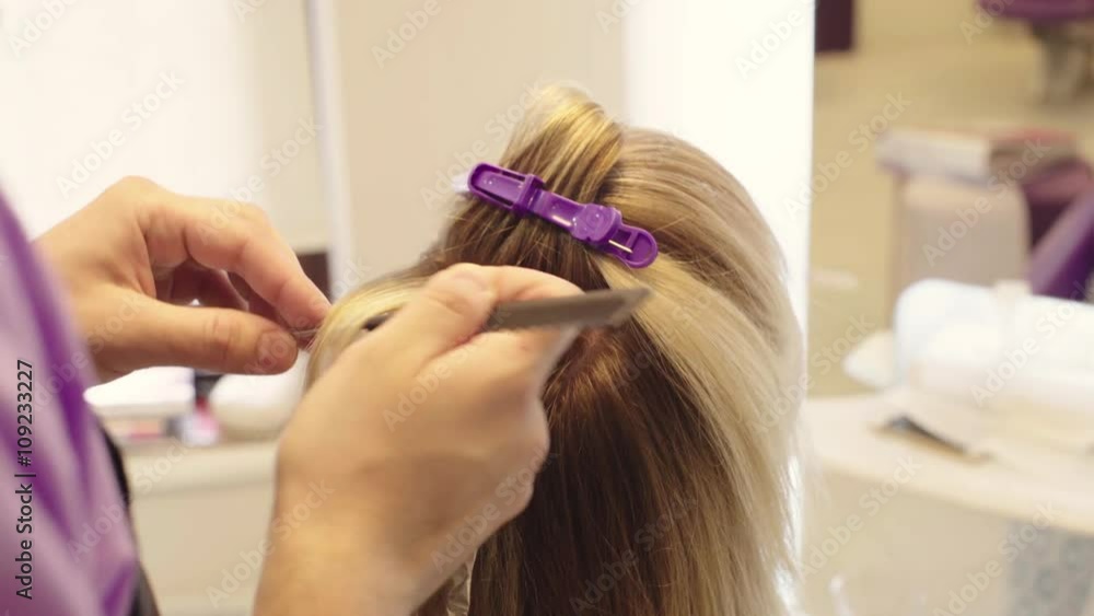 Hairdresser Dye the Hair Hairdresser Dye the Hair